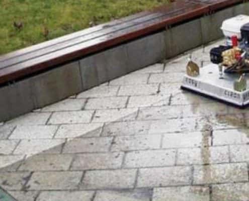 Pflasterreinigung Flechten
