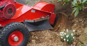 Ihre Experten Fur Gartenbau Landschaftsbau Staats Galabau Uetze