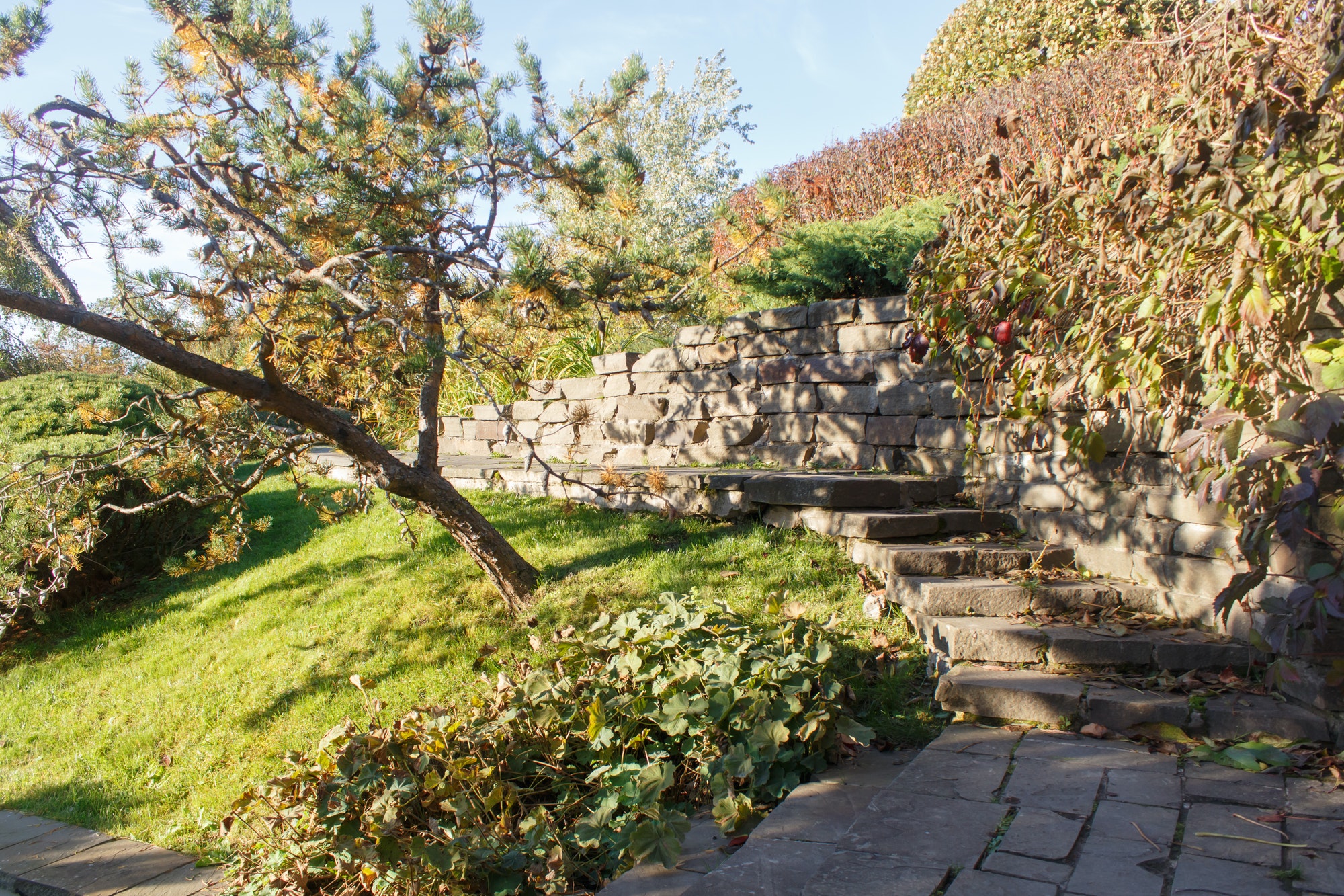 Treppenbau: Cottage-Garten mit Steintreppe und Stützmauer