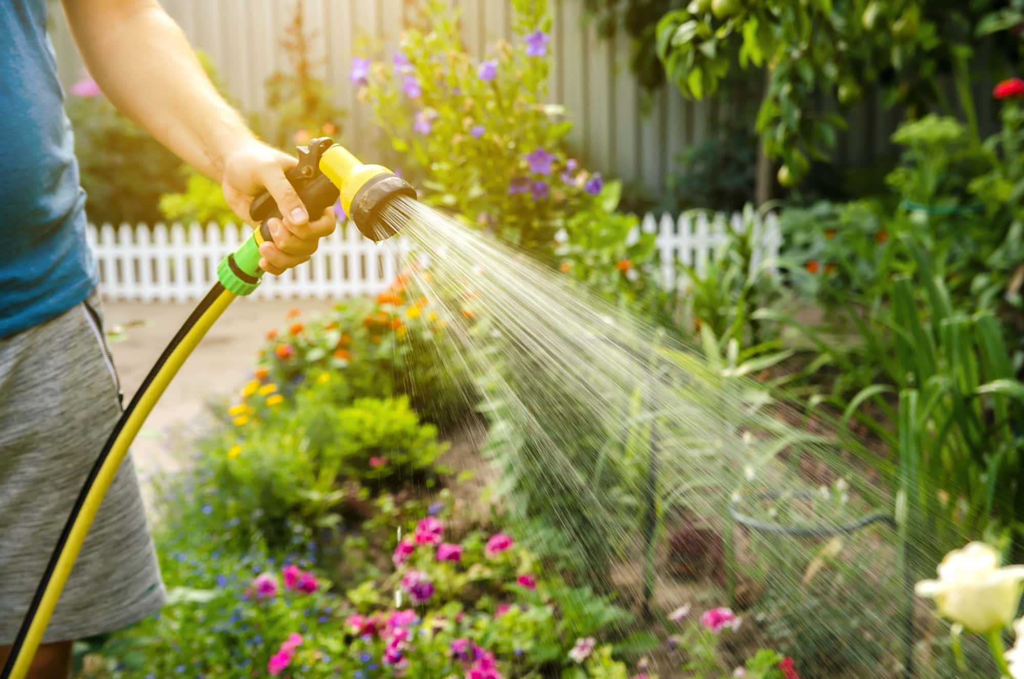 Tipps für Gärten während Trockenperioden