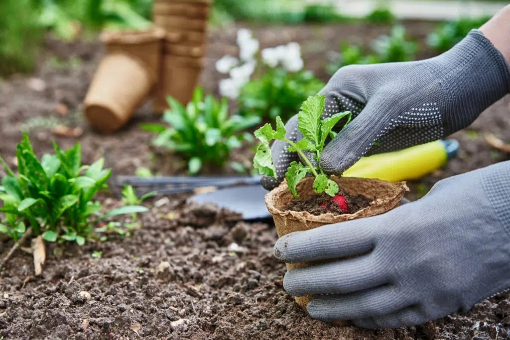 Aktuelle Tipps für die Gartenarbeit im Oktober