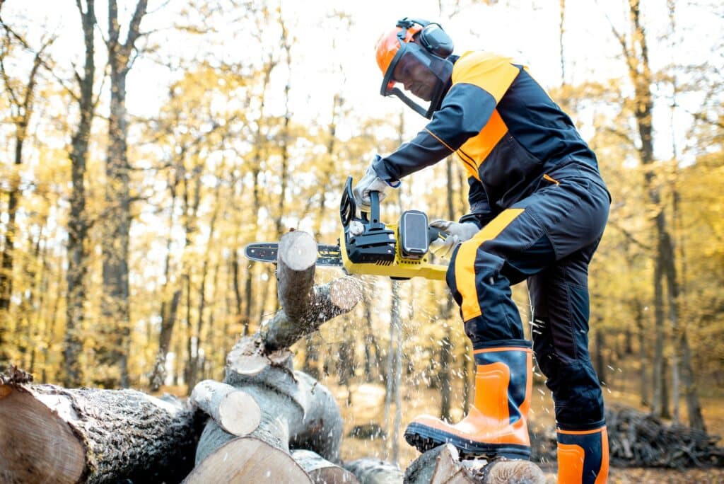 Indem Sie die Bäume fällen lassen, ist die Arbeit oft viel schneller erledigt, als wenn Sie es selbst tun