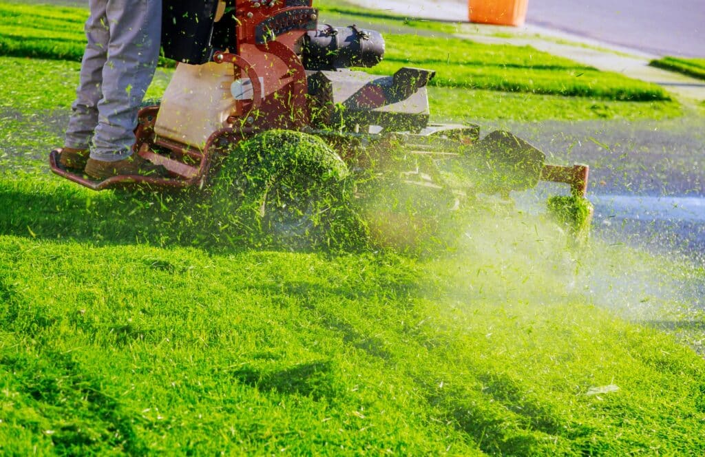Mähtechniken für die Pflege eines Rasens bei Trockenheit