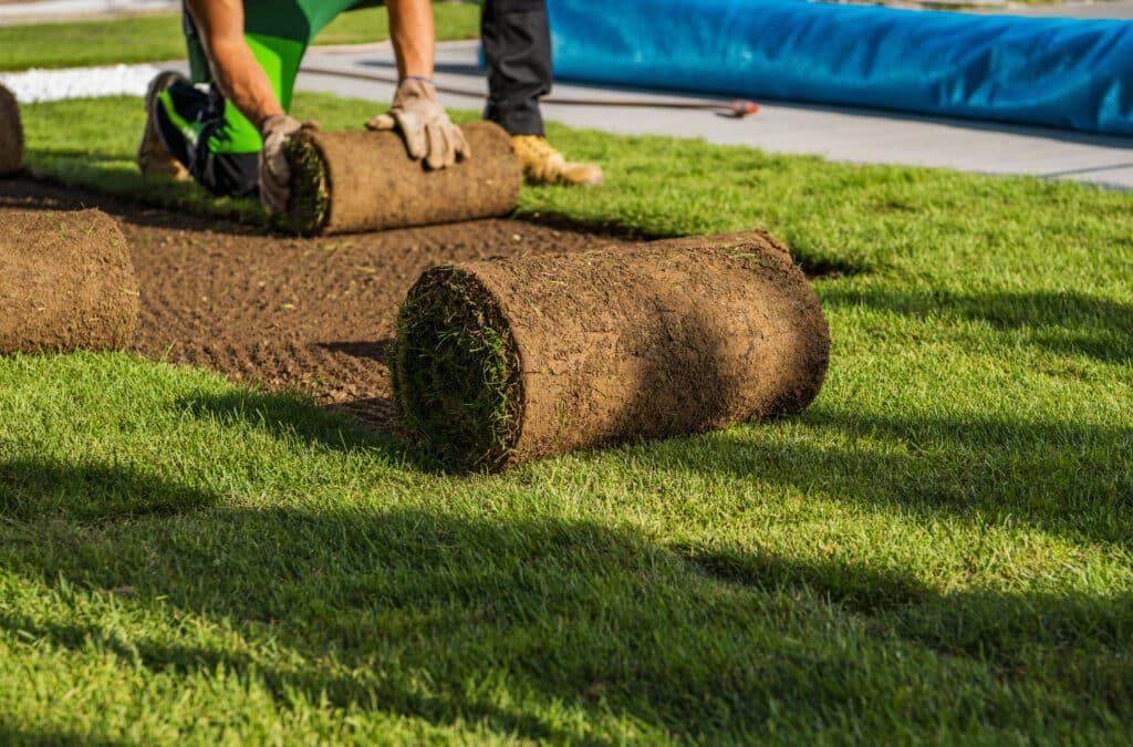 Wann ist die beste Zeit im Jahr, um Rollrasen zu verlegen?