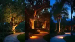 lighting effects in landscaping