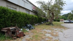 warning signs in landscaping