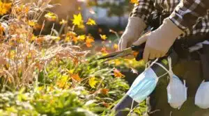 allergikerfreundliche Herbstgartentipps