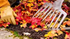 Herbstblätter Gartenbau Abonnement