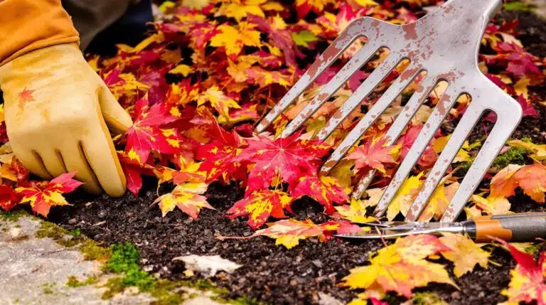 Herbstblätter Gartenbau Abonnement