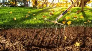 Vorteile der Herbst-Rollrasen-Installation