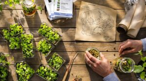 Gartenplanungstrends 2026