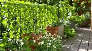 Frühlings-Balkon-Garten-Ideen