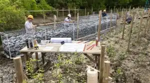 Federzaun und Gabionen-Design