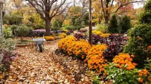 erfolgreiche Herbstgartenpflege