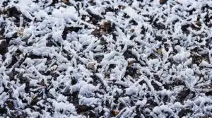 unterirdischer Frostschutz Gartenbau