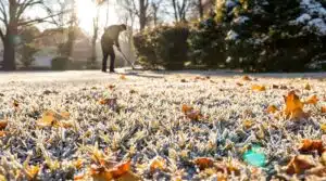 Winterrasenpflege-Tipps