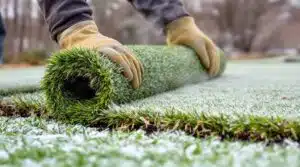 Mythen zur Winterraseninstallation