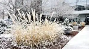 Winter-Außenwartungsdienste