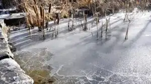 Grundlagen der Winterteichpflege