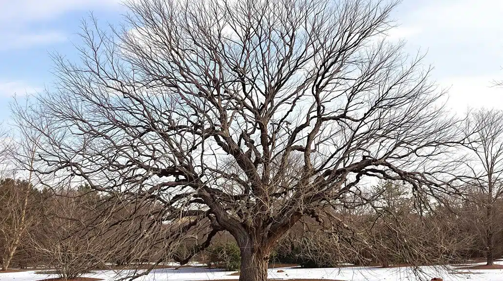 Winterbaumpflege-Tipps