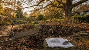 Herbst perfekte Gartenverwandlung